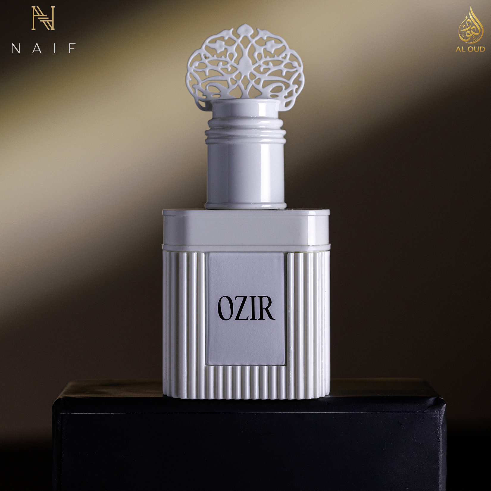 OZIR Fresh Aquatic Woody Perfume Spray 10 ML - ATTAR